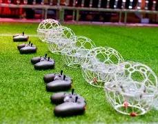 常规赛,山东,广东,好博,HaoBo,好博官网,好博体育官网,好博体育下载,好博APP