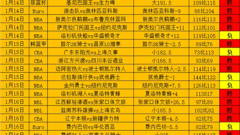 《逆袭传奇：老男孩能否击败独立挑战？》